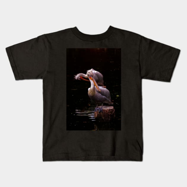 The Pelicans Kids T-Shirt by Memories4you